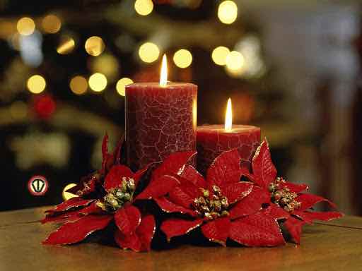 Feast of the Immaculate Conception